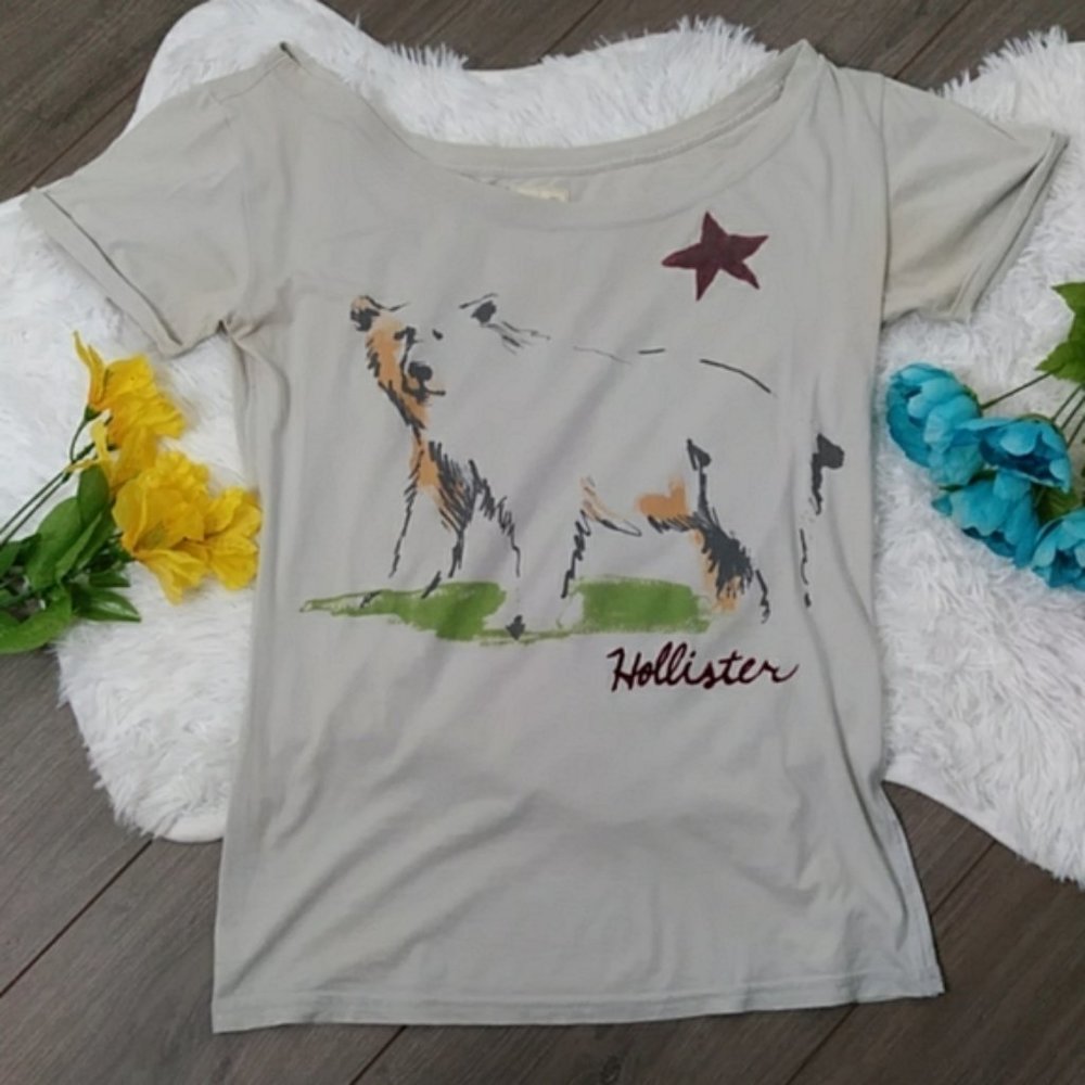 2/$24 Hollister Polar Bear T-shirt 100% Co…